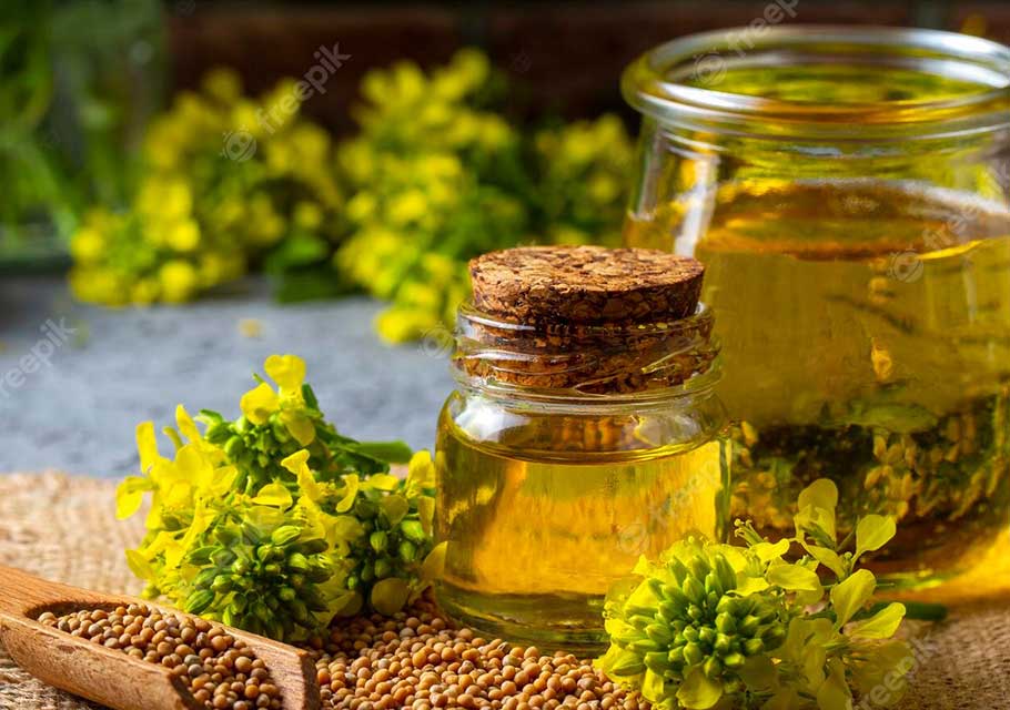 Internet portal of the largest mustard oil producer